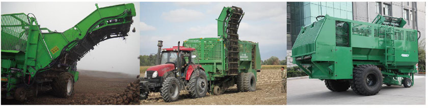 416157172312841.jpg 4.jpg